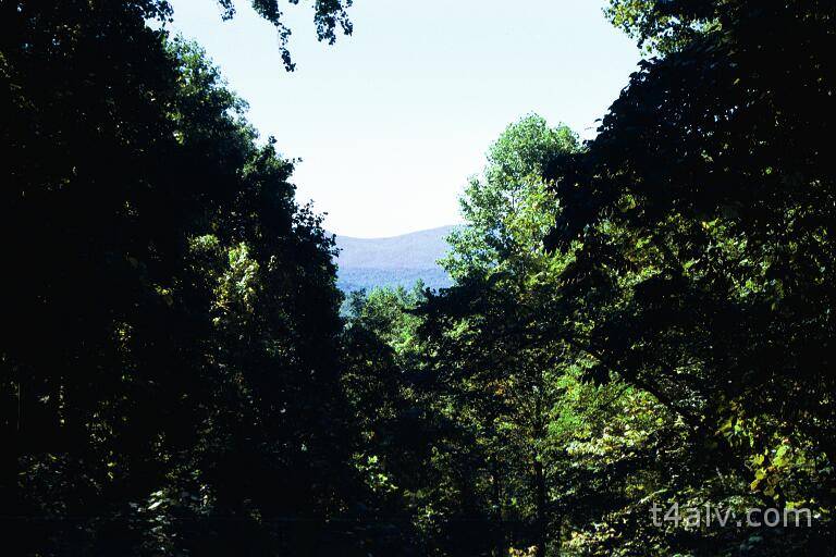 168.JPG - Taken on a 2nd visit later in the season, this view is the same as image number 11