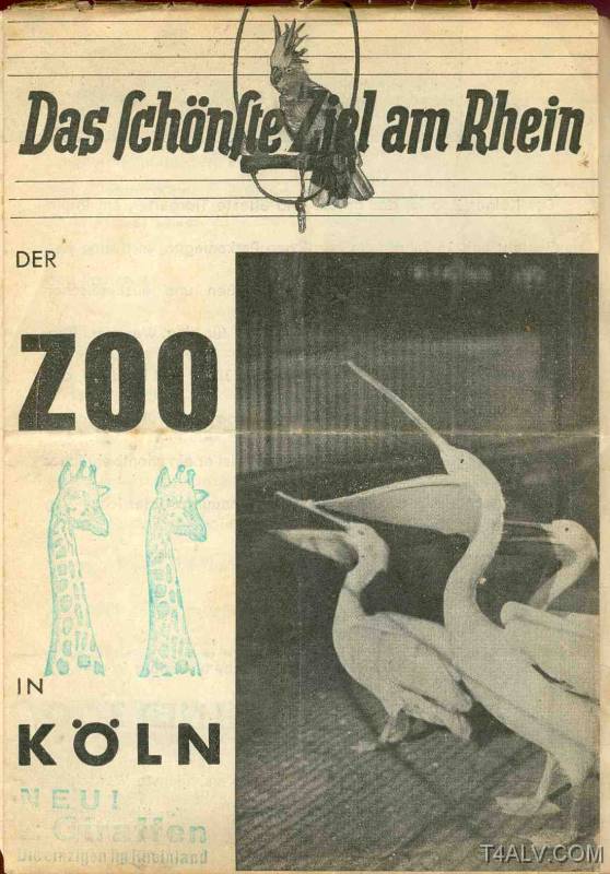 zoo1